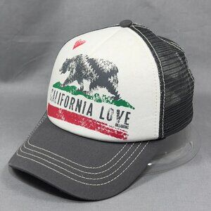 Billabong Snap Back Cap Hat Gray California USA Trucker Outdoor Surfer Bear Mens
